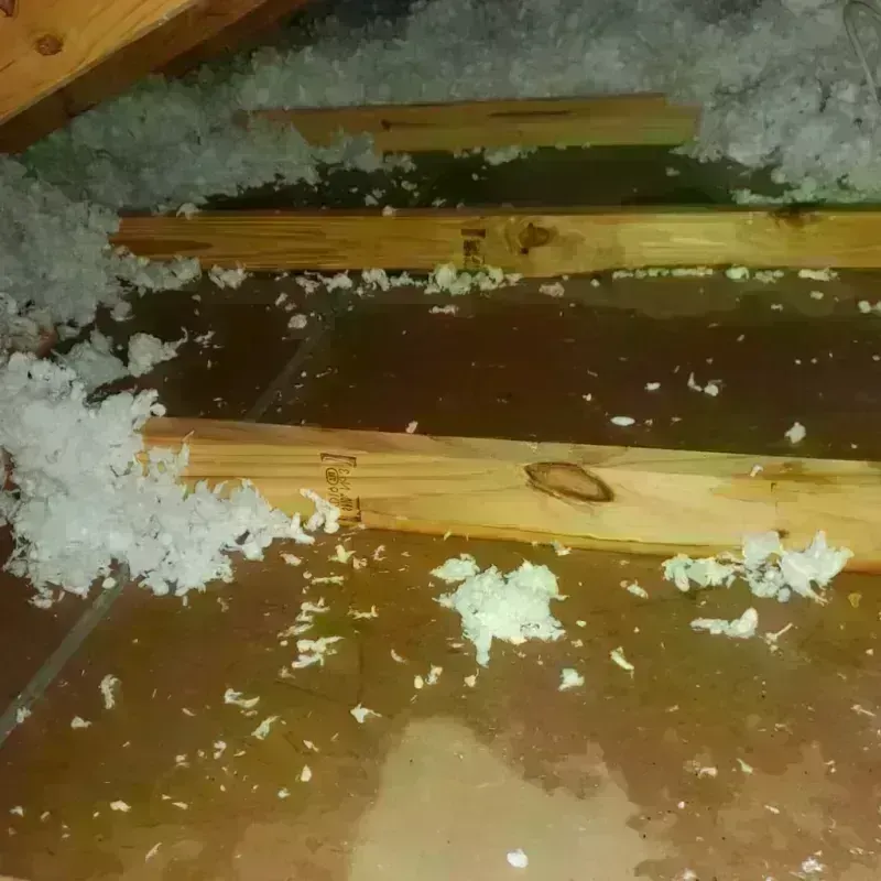 Attic Water Damage in Plainview, MN